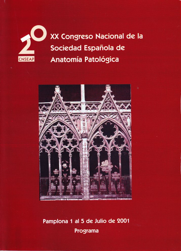 2001 Pamplona